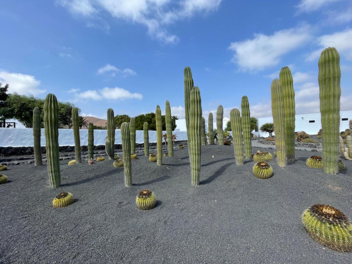 Izaro Apartamento Atico De Lujo Cerca De Playa Dorada Playa Blanca  Bagian luar foto